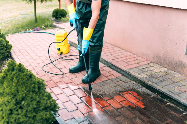 Animal Enclosure Cleaning in Bayou Blue, LA